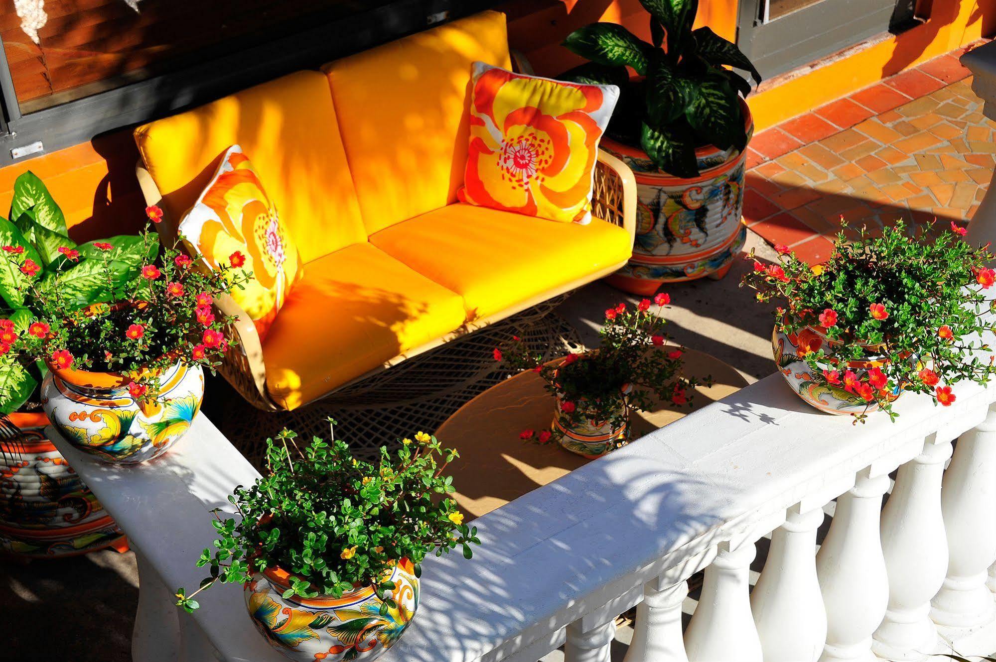 Blue Seas Courtyard Hotell Lauderdale-by-the-Sea Eksteriør bilde